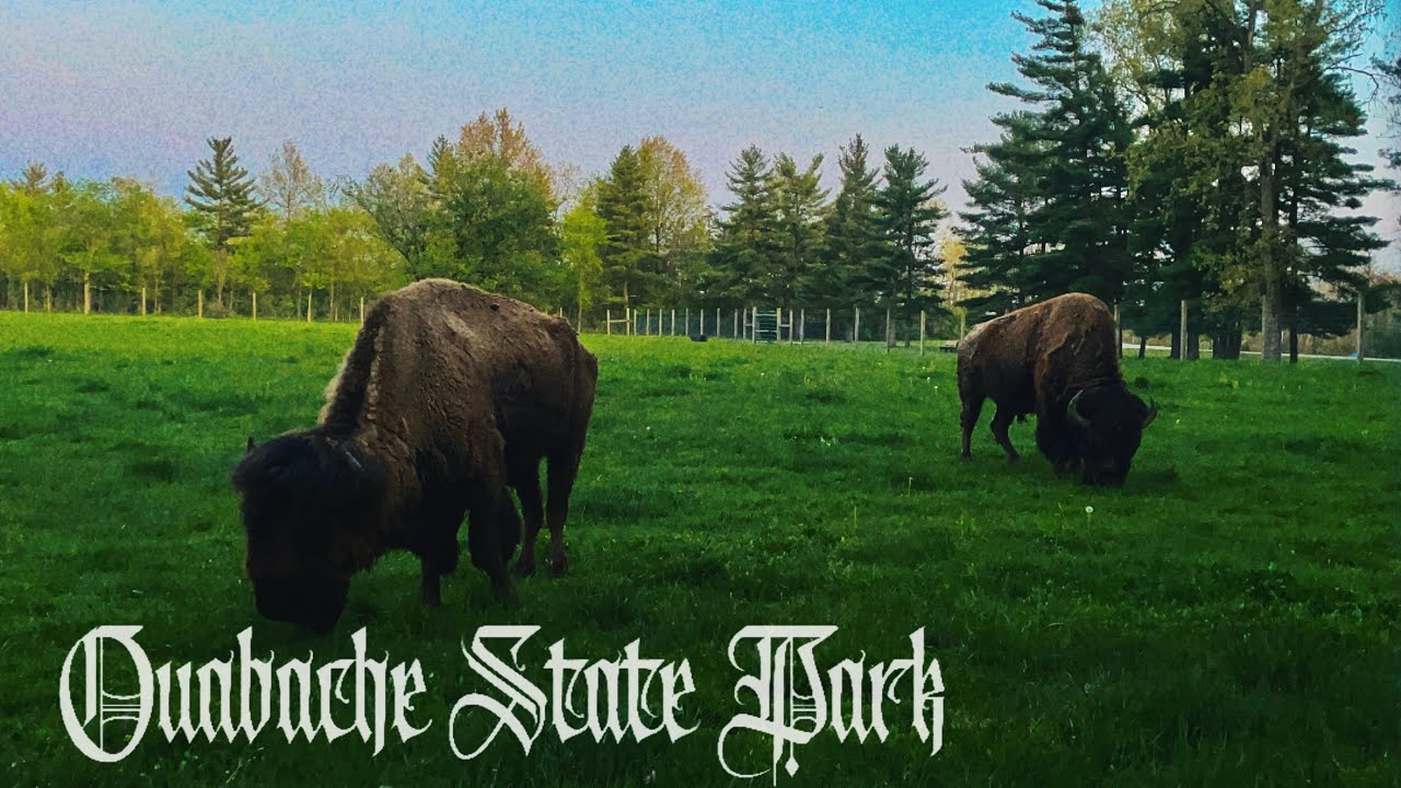 Ouabache State Park Solo Hike