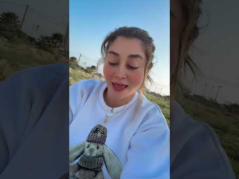 عاجل الجزيرة مباشر السيد حسن نصرالله ما يزال عايش