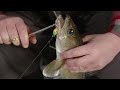 Super Cold, Mid-Winter Ice Fishing for Walleyes. Northwest Angle of Lake of the Woods. S14-E10