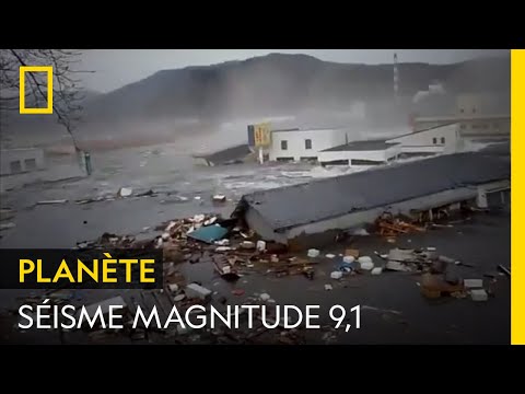 Vidéo: 4.7 tremblement de terre à Sotchi