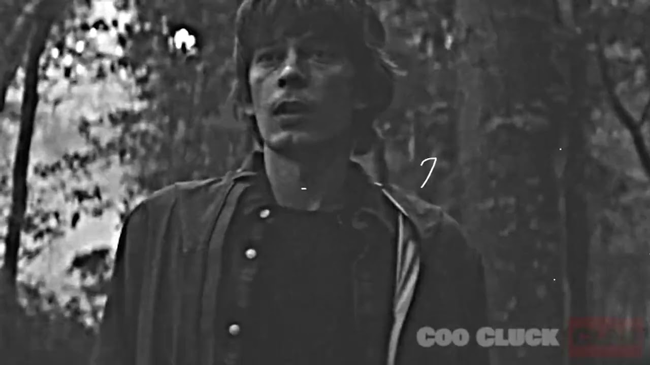 Coo Cluck Clan   Hatching Your True Self Trailer