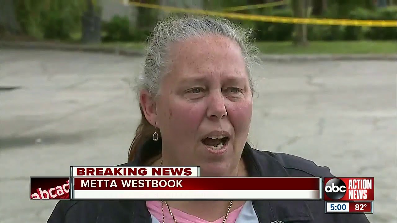 Video captures helicopter crash onto busy Tampa highway YouTube