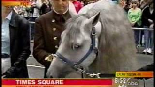 Lobeline Communications: Spanish Riding School on ABC GMA, Public Relations for Live Tours