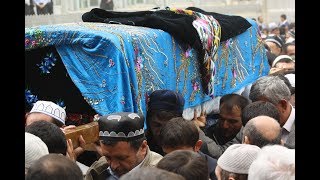 TOBUT QUCHOQLAGAN ONA DAVOMI