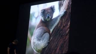 Famous NVIDIA's Deep Learning on object classfication visualized Net Worth