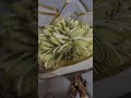 Eidi bouquet 💐#eid #eidi #bouquet #ytshorts #diy #cradles #art #youtube #viral #trending #shortvideo
