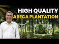 No Yield for 7 Years | Now New Life in 400 Arecanut Trees! | 50% Yellow ➜ Green Revolution