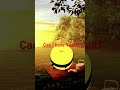 1 sub away from 50:)