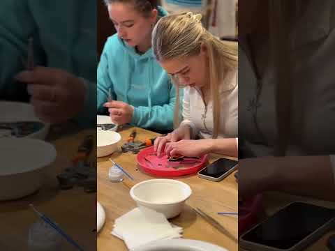 Projekta video priekšskatījums