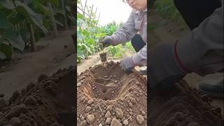 Smart Farming Technology Changing the Future of Agriculture | Amazing Farm Innovation