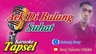 AEK DI BULUNG SUHAT KARAOKE TAPSEL | @sonykaraokeofficial