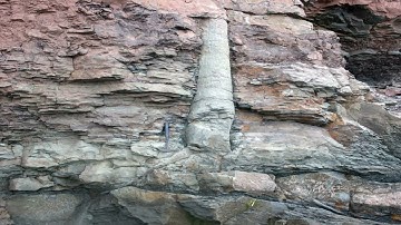 A short video on polystrate fossils