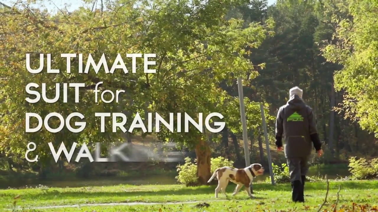 FDT PRO Ultimate Suit for Dog Training and Walking YouTube