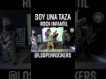 Los Perrockers - Soy una taza (cover canciones infantiles, version Punk) #rockinfantil #punk