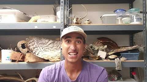 What is an Environmental Educator?