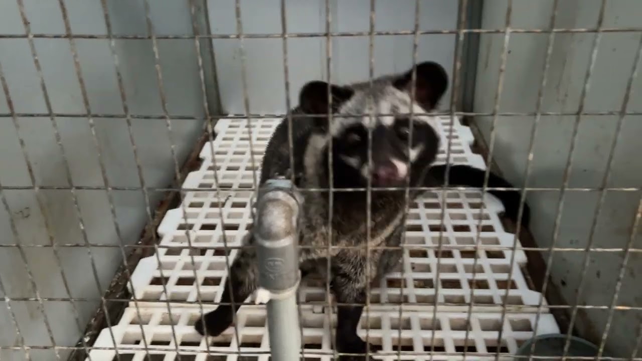 kêt qua sau 1 thang phu noc