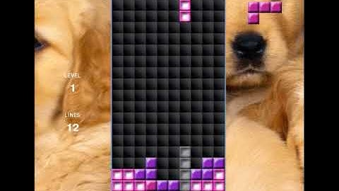 Monte Carlo Tree Search and Breadth-First Search applied to Tetris