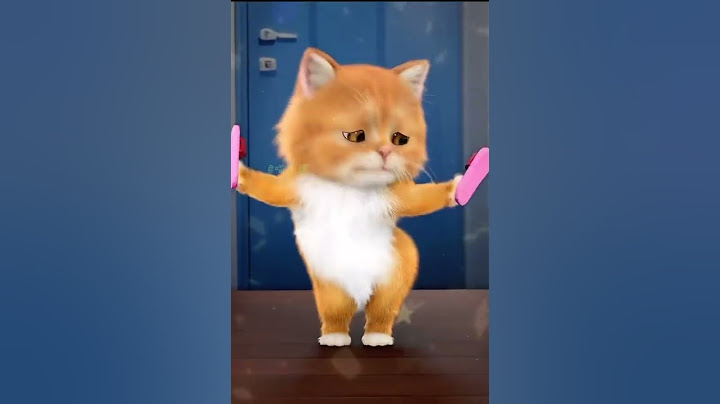 Mèo nhảy gang nam style