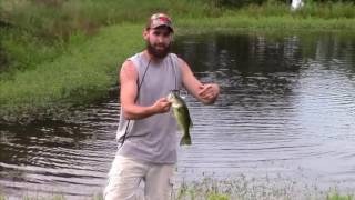 2C Dirty Jigs Canterbury Pro Buzz July