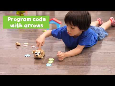 Coding Critters: Let's Start Coding!