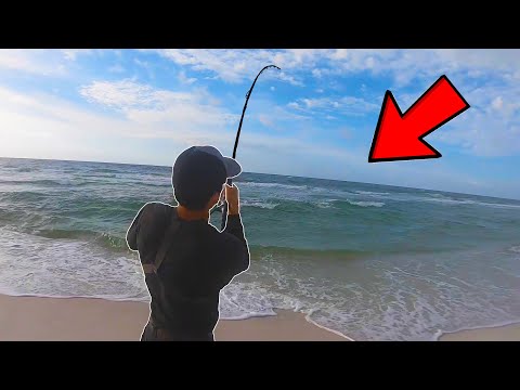 As SOON As I Walked on The BEACH I THREW OUT A BIG BAIT And THEN THIS HAPPENED!!!