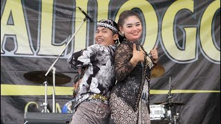 PELANGGARAN - GEVI VARERA By KALIJOGO Music NGK Audio ARIS & ITA Cah TeamLo Punya