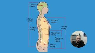 Medical Terminology Body Structure