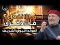 ماذا نفعل في ذكرى مولد النبي الشريف 1447 الدكتور محمد راتب النابلسي 