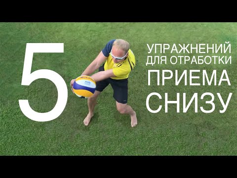 5 упражнений для