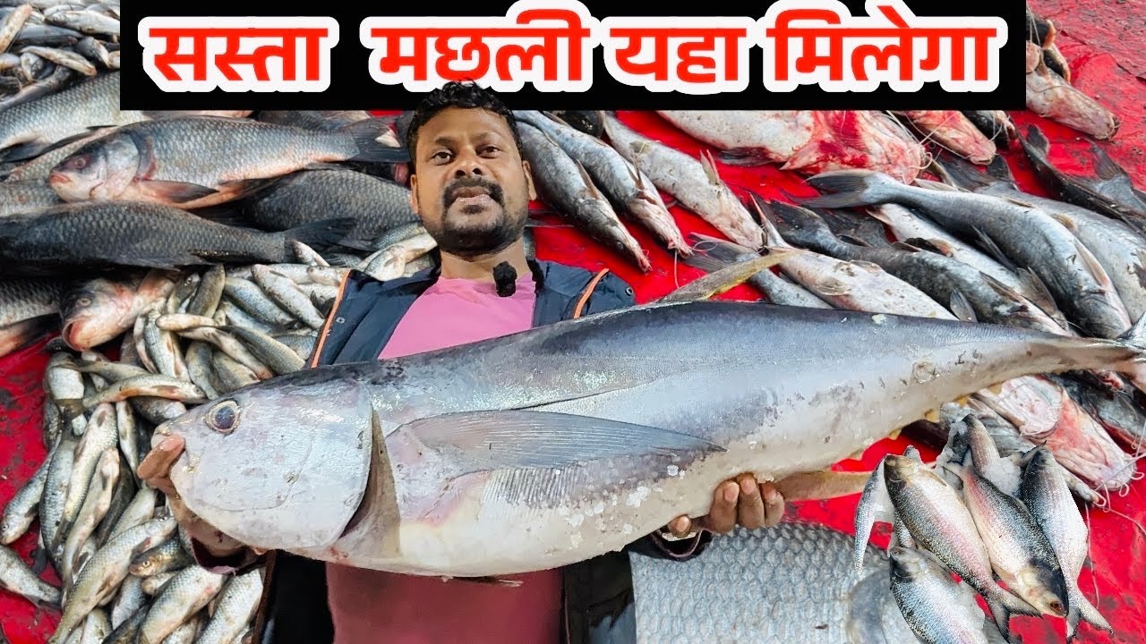 Ghazipur fish market rate today| ghazipur mandi fish market |ghazipur machli mandi|
