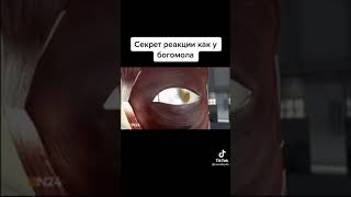 Секрет Реакции Как У Богомола