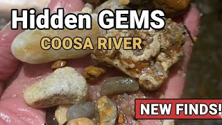 I Found Hidden GEMSTONES in the Coosa River Waterfalls! RARE Finds in Elmore County Springs 