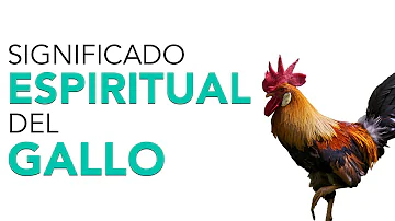 ¿Qué simboliza el gallo en la Biblia?