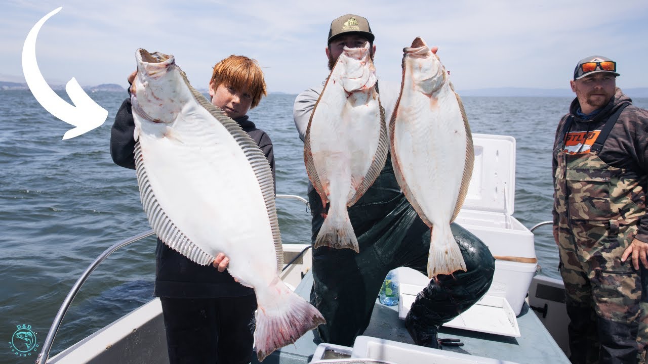 PERSONAL BEST HALIBUT - Wide Open Halibut and Striper Fishing - YouTube