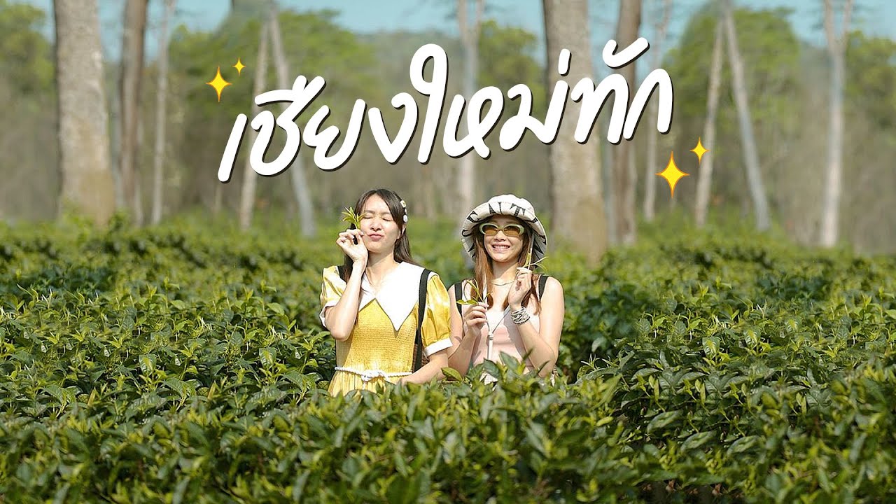 ไปกิน พัก เที่ยว สไตล์โฟร์ ที่เชียงใหม่ กันต่อเลยจ้าาา