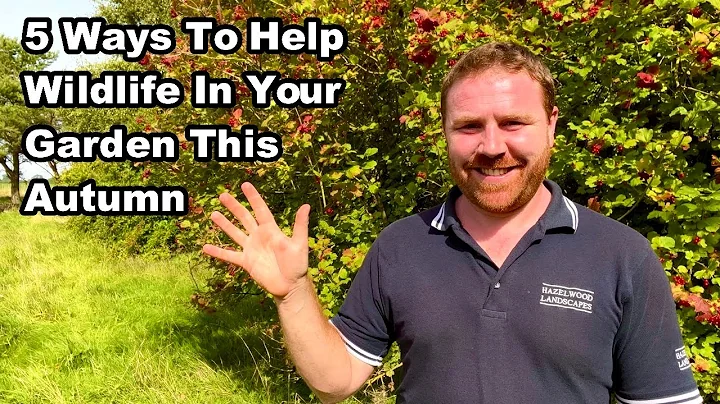 5 dicas incríveis para ajudar a vida selvagem no seu jardim