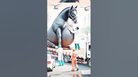 Pregnant horse rescue team help reverse video #ai #animals #horse #unity #help #humananimal