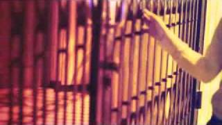 Download Lagu utopia-homogenic.flv MP3