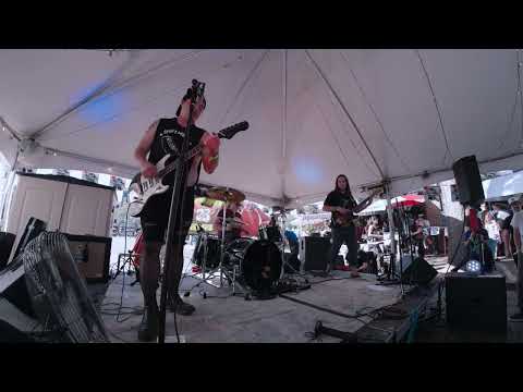 SHARK ANATOMY at FEST 23
