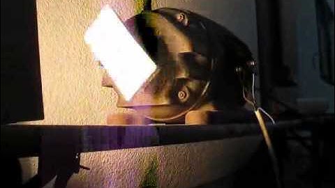 Stroboscopic effect: 3 phase motor running synchronously to video framerate