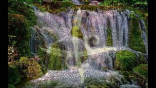 Haci Qubad Həsənzadəni̇n Qi̇raəti̇ İlə Əli̇ Söz Əsrari Nə