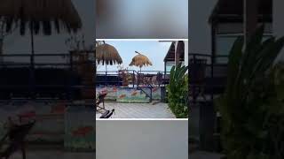 Découverte De La Plongée Sous Marine