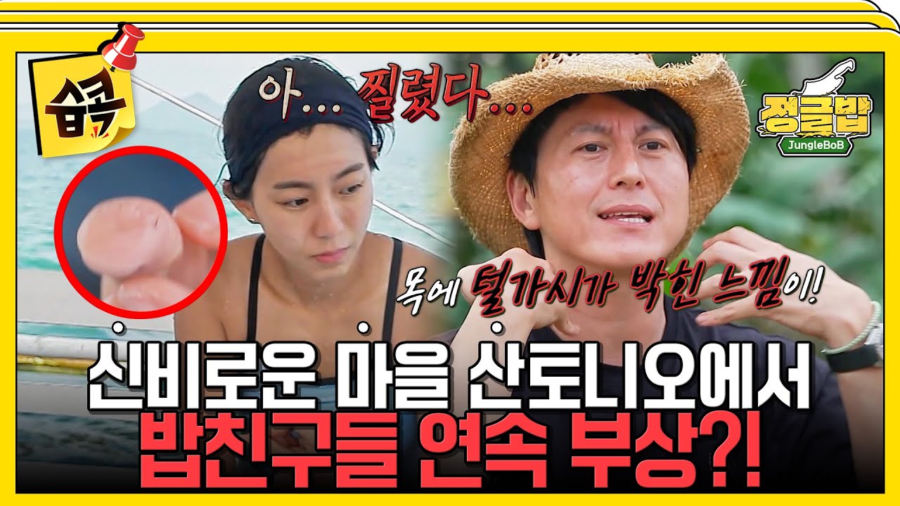 [#습콕📌] 드디어 새로운 섬에 도착!😁 하지만 이게 무슨 일이야...? 밥친구들의 연속 부상?!🩸 #정글밥 #JungleBoB #SBSenter