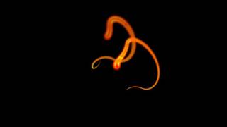 AAE Animation - Light Streak #2