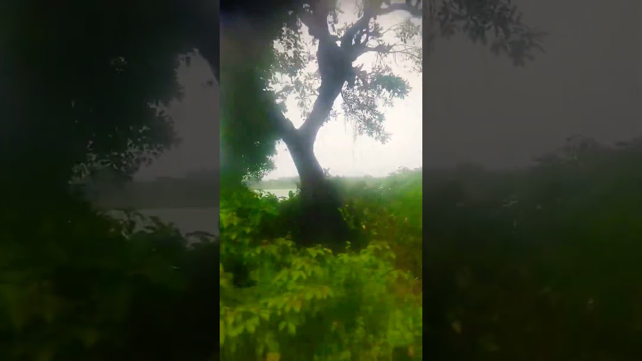 cyclone #cyclonegombe #rain #nature #monsoon