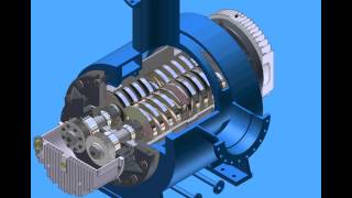 Twin Screw Pump Operation - Cutaway