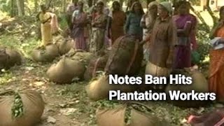 After Days Of Unpaid Labour, Kerala Workers Out Of Ways To Stay Afloat