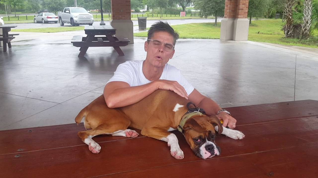Owner Testimonial (Delta Boxer 9mo old) - YouTube