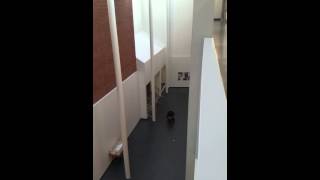 Physics firing nerf gun slow-mo