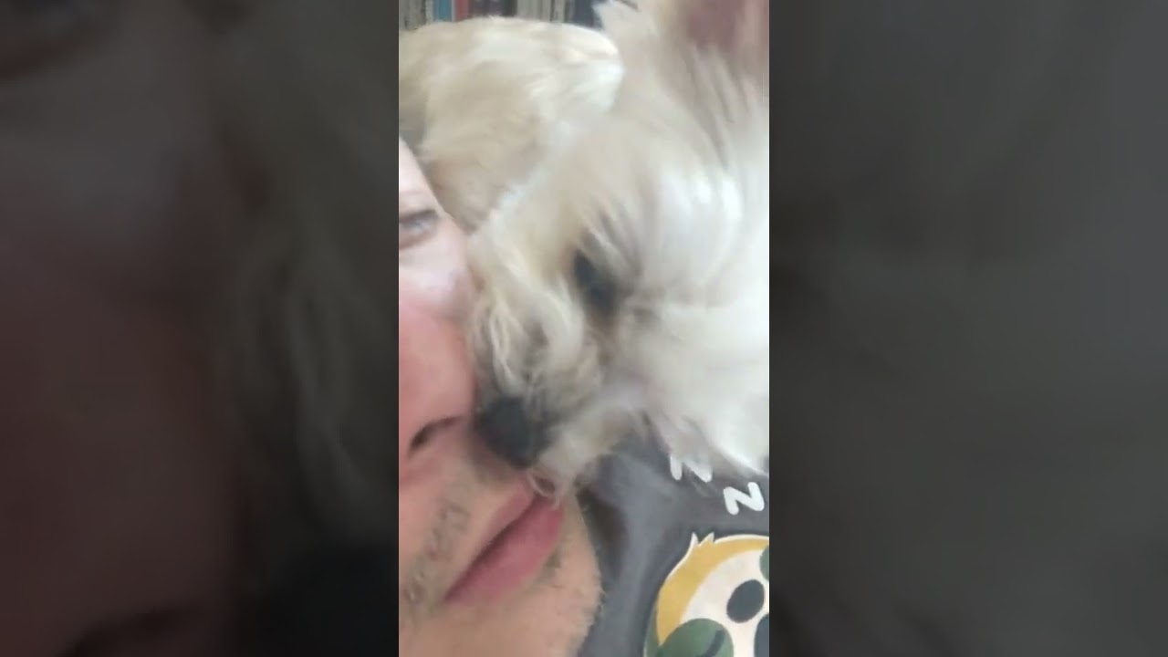 22 minutes of dog licking nose cause the dog loves my nose ASMR